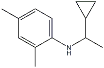 N-(1-cyclopropylethyl)-2,4-dimethylaniline 结构式