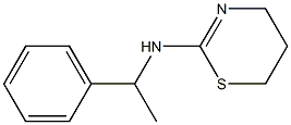 N-(1-phenylethyl)-5,6-dihydro-4H-1,3-thiazin-2-amine 结构式