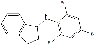 N-(2,4,6-tribromophenyl)-2,3-dihydro-1H-inden-1-amine 结构式