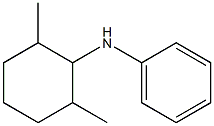 N-(2,6-dimethylcyclohexyl)aniline 结构式