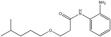 N-(2-aminophenyl)-3-[(4-methylpentyl)oxy]propanamide 结构式