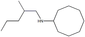 N-(2-methylpentyl)cyclooctanamine 结构式