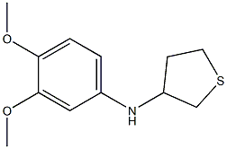 N-(3,4-dimethoxyphenyl)thiolan-3-amine 结构式