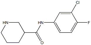 N-(3-chloro-4-fluorophenyl)piperidine-3-carboxamide 结构式