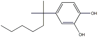 4-叔辛基儿茶酚 结构式