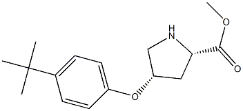 METHYL (2S,4S)-4-[4-(TERT-BUTYL)PHENOXY]-2-PYRROLIDINECARBOXYLATE 结构式