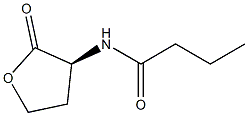 N-butanoyl-L-homoserine lactone 结构式