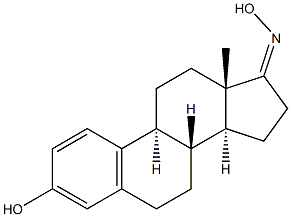 estrone oxime 结构式