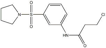 3-CHLORO-N-[3-(PYRROLIDIN-1-YLSULFONYL)PHENYL]PROPANAMIDE 结构式
