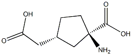 (1R,3R)-CIS-1-AMINO-1-CARBOXYCYCLOPENTANE-3-ACETIC ACID 结构式