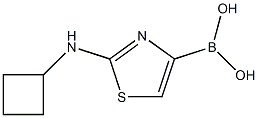 2-CYCLOBUTYLAMINOTHIAZOLE-4-BORONIC ACID 结构式