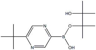 5-(TERT-BUTYL)PYRAZINE-2-BORONIC ACID PINACOL ESTER 结构式