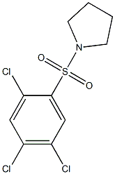 1-[(2,4,5-trichlorophenyl)sulfonyl]pyrrolidine 结构式