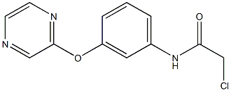 2-chloro-N-[3-(2-pyrazinyloxy)phenyl]acetamide 结构式