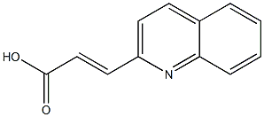 (E)-3-(quinolin-2-yl)acrylic acid 结构式