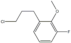 1-(3-chloropropyl)-3-fluoro-2-methoxybenzene 结构式