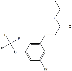 ethyl 3-(3-bromo-5-(trifluoromethoxy)phenyl)propanoate 结构式