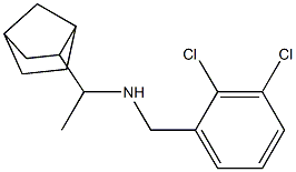 (1-{bicyclo[2.2.1]heptan-2-yl}ethyl)[(2,3-dichlorophenyl)methyl]amine 结构式