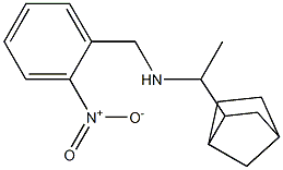 (1-{bicyclo[2.2.1]heptan-2-yl}ethyl)[(2-nitrophenyl)methyl]amine 结构式