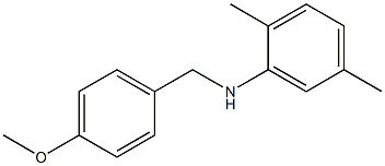 (2,5-dimethylphenyl)(4-methoxyphenyl)methylamine 结构式