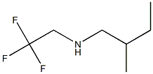 (2-methylbutyl)(2,2,2-trifluoroethyl)amine 结构式