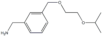 (3-{[2-(propan-2-yloxy)ethoxy]methyl}phenyl)methanamine 结构式