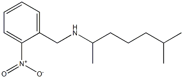 (6-methylheptan-2-yl)[(2-nitrophenyl)methyl]amine 结构式