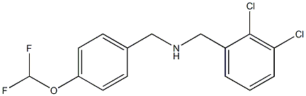 [(2,3-dichlorophenyl)methyl]({[4-(difluoromethoxy)phenyl]methyl})amine 结构式