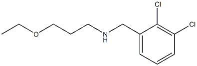 [(2,3-dichlorophenyl)methyl](3-ethoxypropyl)amine 结构式