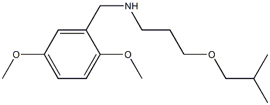 [(2,5-dimethoxyphenyl)methyl][3-(2-methylpropoxy)propyl]amine 结构式