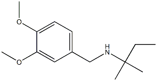 [(3,4-dimethoxyphenyl)methyl](2-methylbutan-2-yl)amine 结构式