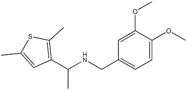 [(3,4-dimethoxyphenyl)methyl][1-(2,5-dimethylthiophen-3-yl)ethyl]amine 结构式