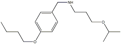 [(4-butoxyphenyl)methyl][3-(propan-2-yloxy)propyl]amine 结构式