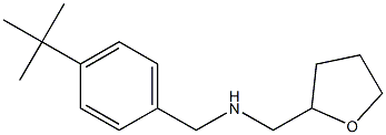 [(4-tert-butylphenyl)methyl](oxolan-2-ylmethyl)amine 结构式