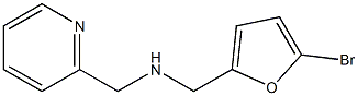 [(5-bromofuran-2-yl)methyl](pyridin-2-ylmethyl)amine 结构式
