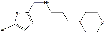 [(5-bromothiophen-2-yl)methyl][3-(morpholin-4-yl)propyl]amine 结构式