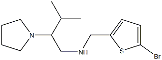 [(5-bromothiophen-2-yl)methyl][3-methyl-2-(pyrrolidin-1-yl)butyl]amine 结构式