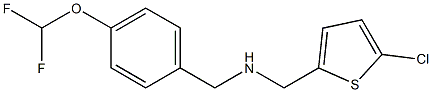 [(5-chlorothiophen-2-yl)methyl]({[4-(difluoromethoxy)phenyl]methyl})amine 结构式