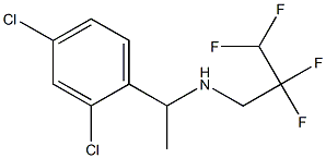 [1-(2,4-dichlorophenyl)ethyl](2,2,3,3-tetrafluoropropyl)amine 结构式