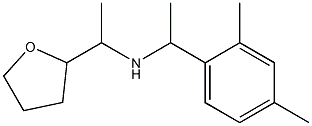 [1-(2,4-dimethylphenyl)ethyl][1-(oxolan-2-yl)ethyl]amine 结构式