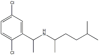 [1-(2,5-dichlorophenyl)ethyl](5-methylhexan-2-yl)amine 结构式