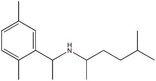 [1-(2,5-dimethylphenyl)ethyl](5-methylhexan-2-yl)amine 结构式