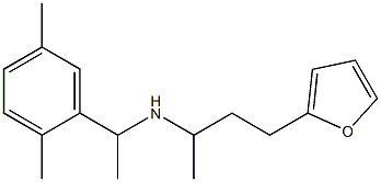 [1-(2,5-dimethylphenyl)ethyl][4-(furan-2-yl)butan-2-yl]amine 结构式