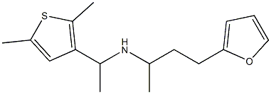 [1-(2,5-dimethylthiophen-3-yl)ethyl][4-(furan-2-yl)butan-2-yl]amine 结构式
