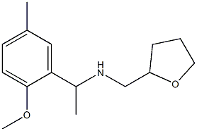 [1-(2-methoxy-5-methylphenyl)ethyl](oxolan-2-ylmethyl)amine 结构式