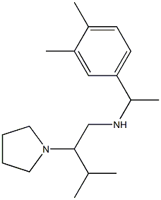 [1-(3,4-dimethylphenyl)ethyl][3-methyl-2-(pyrrolidin-1-yl)butyl]amine 结构式