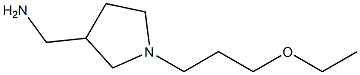 [1-(3-ethoxypropyl)pyrrolidin-3-yl]methylamine 结构式