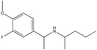 [1-(3-fluoro-4-methoxyphenyl)ethyl](pentan-2-yl)amine 结构式