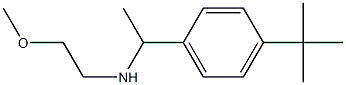 [1-(4-tert-butylphenyl)ethyl](2-methoxyethyl)amine 结构式