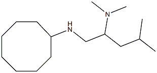 [1-(cyclooctylamino)-4-methylpentan-2-yl]dimethylamine 结构式